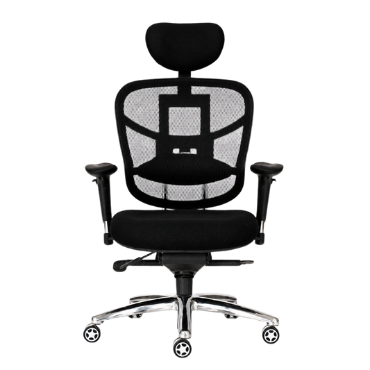 Ergonomics chair