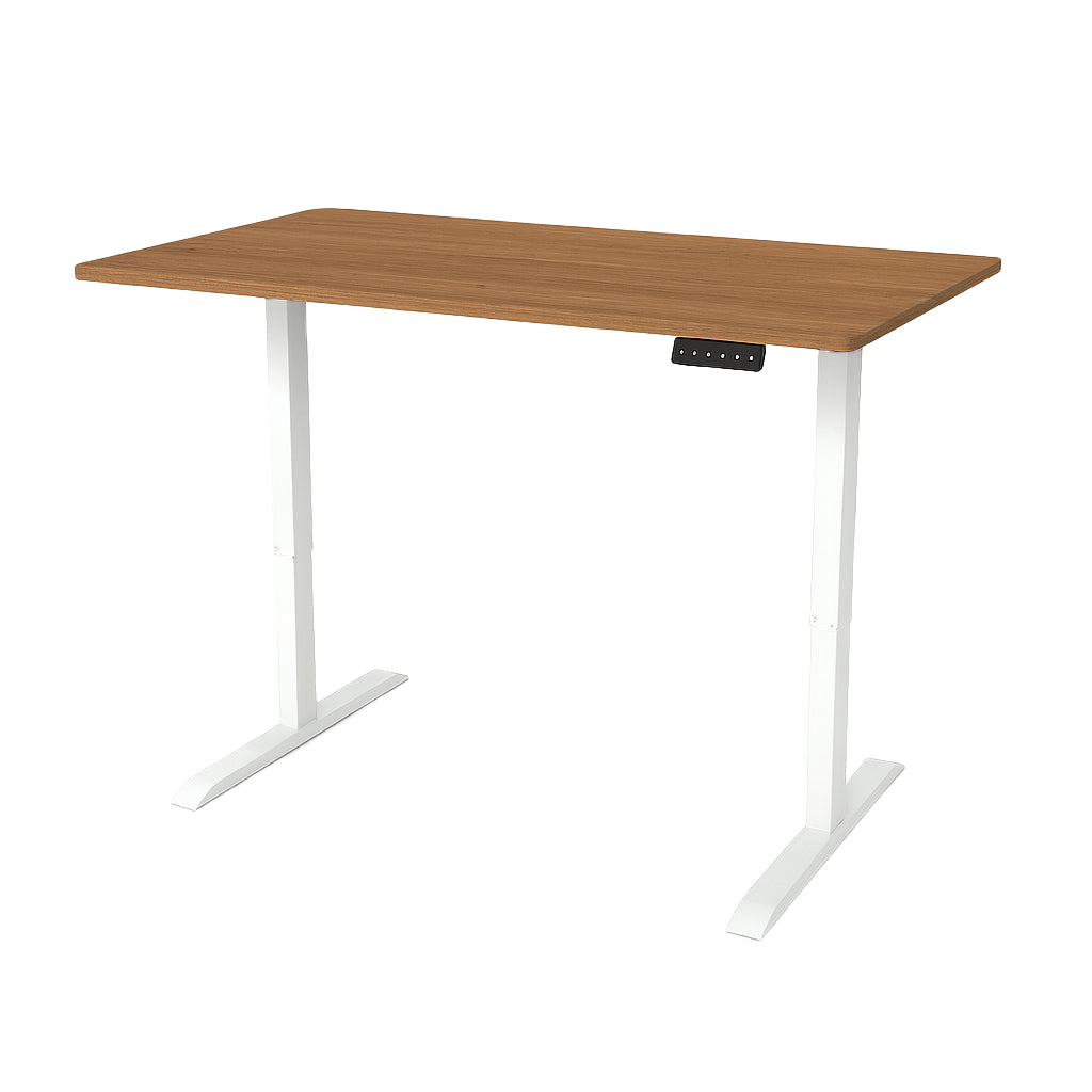 Flake Motorized Desk