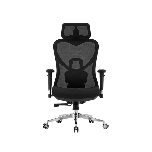 Ergo Lite Chair