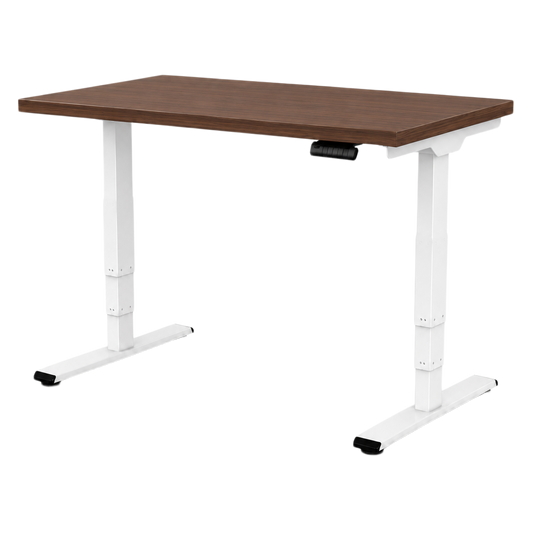 Flake Dual Motor Eco Desk