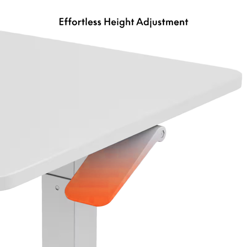 Manual Sit & Standing Desk