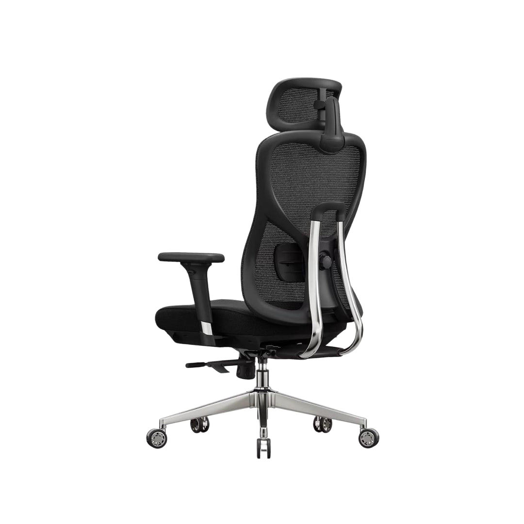 Ergo Lite Chair