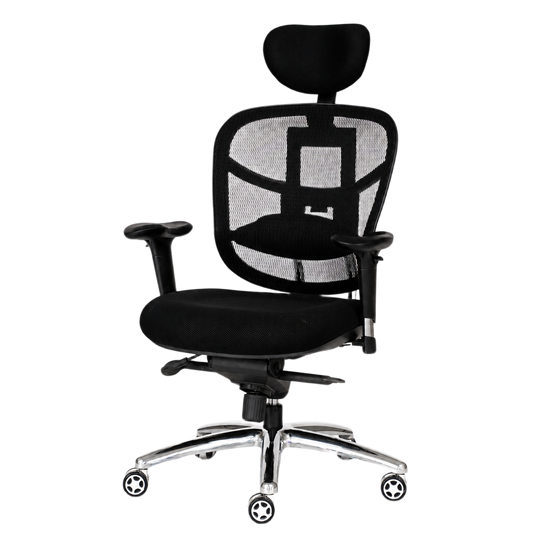 Ergonomics chair