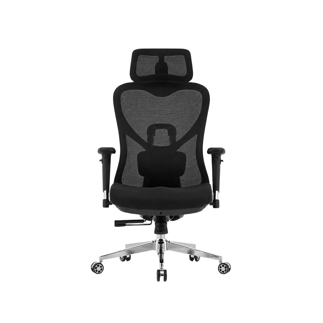Ergo Lite Chair