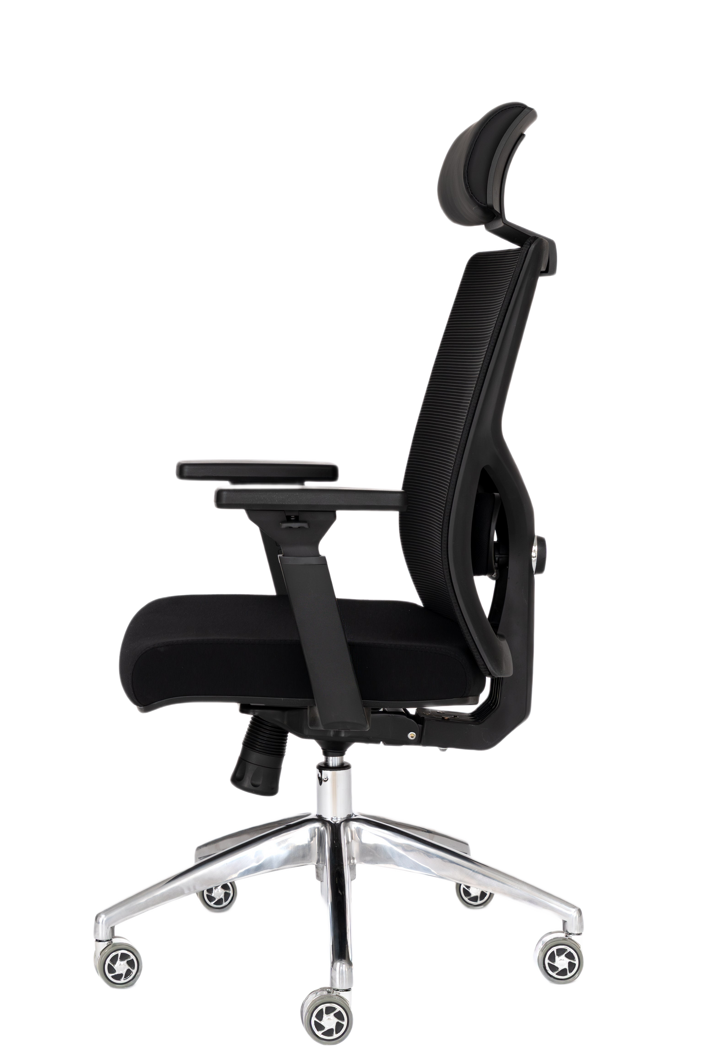 Elite Chair