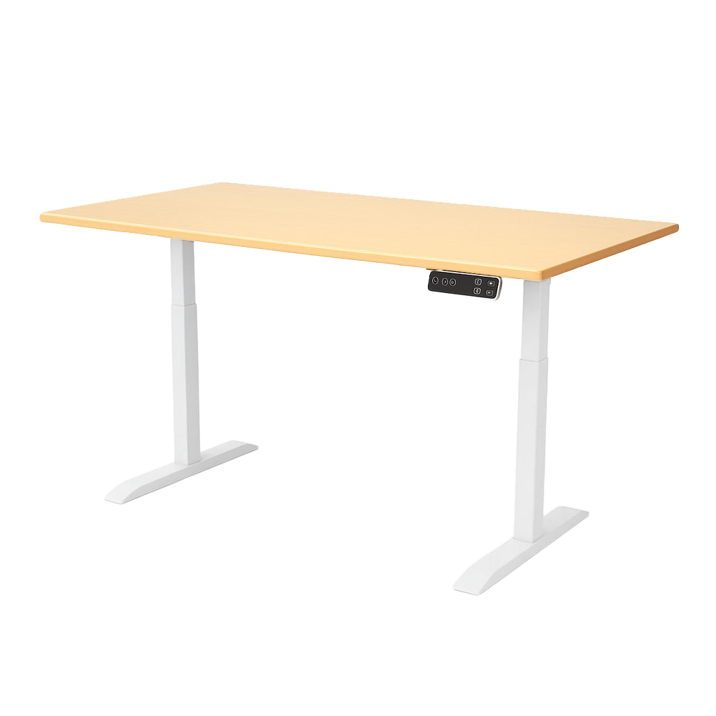 Flake Dual Motorized Desk