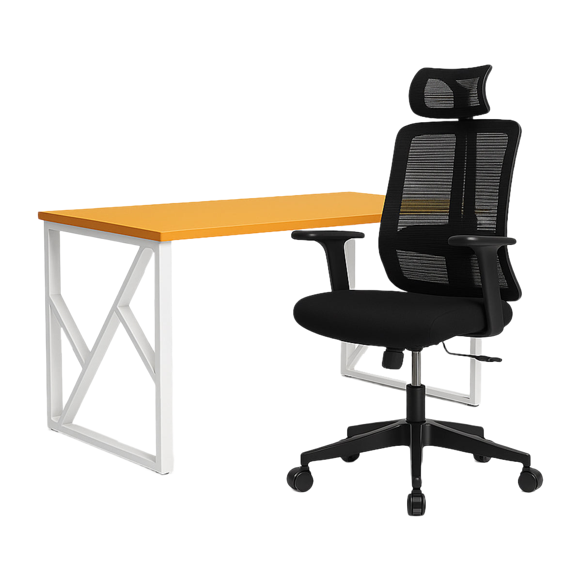 Bundle Separo Desk + Comfort Eco Chair