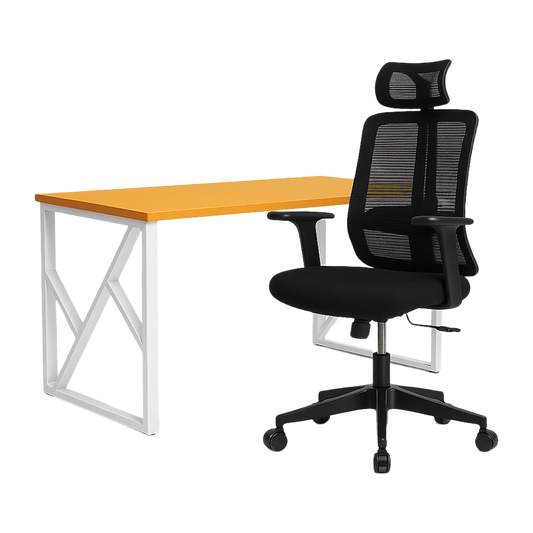 Bundle Separo Desk + Comfort Eco Chair