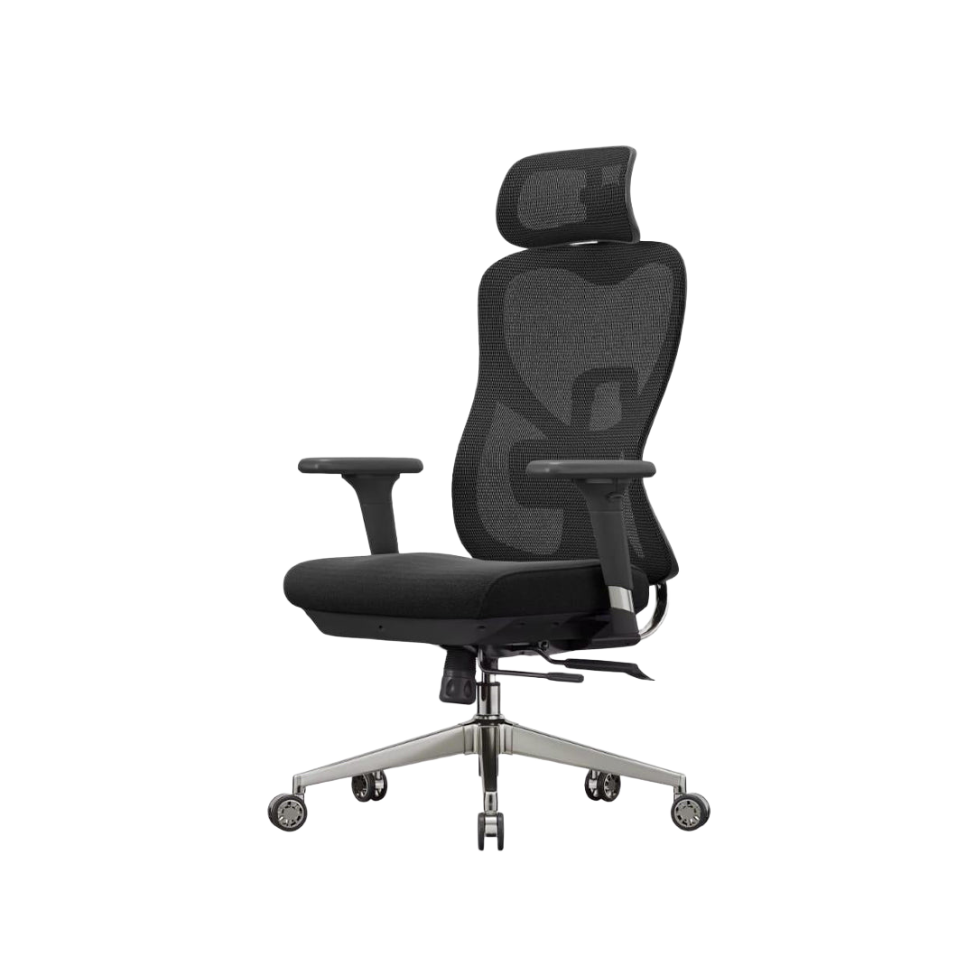 Ergo Lite Chair