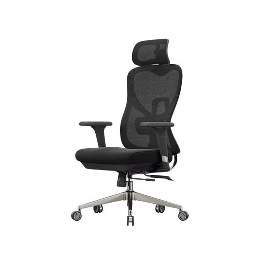 Ergo Lite Chair