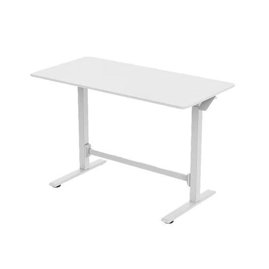Manual Sit & Standing Desk