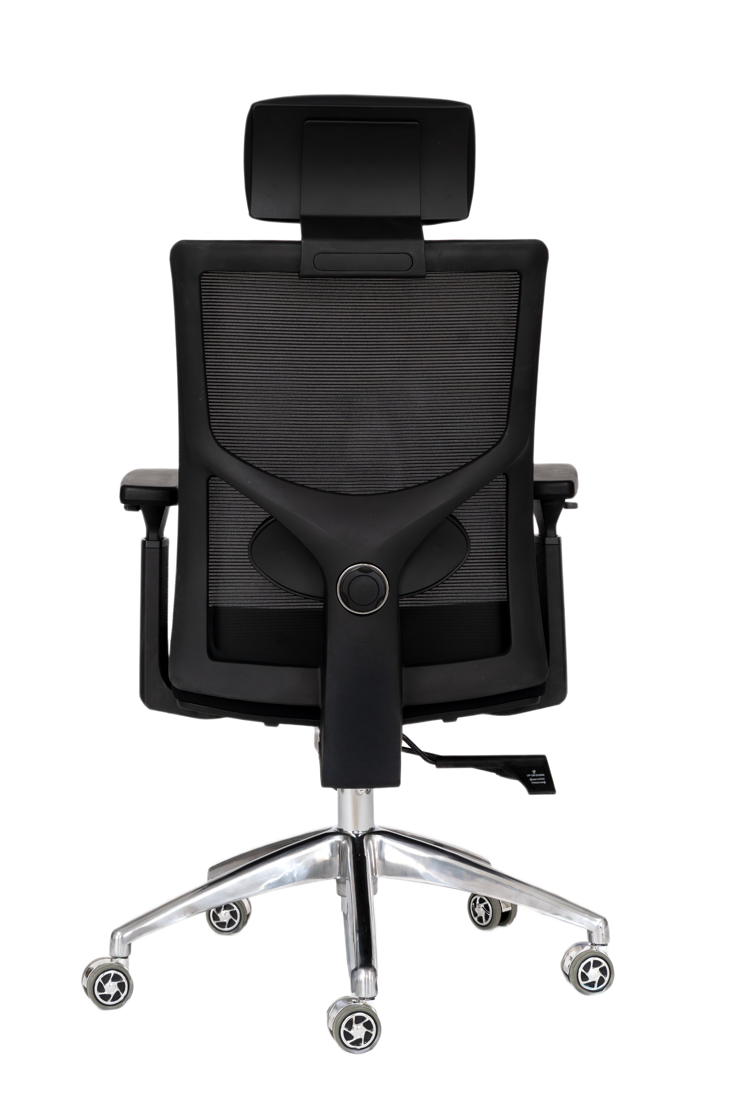 Elite Chair