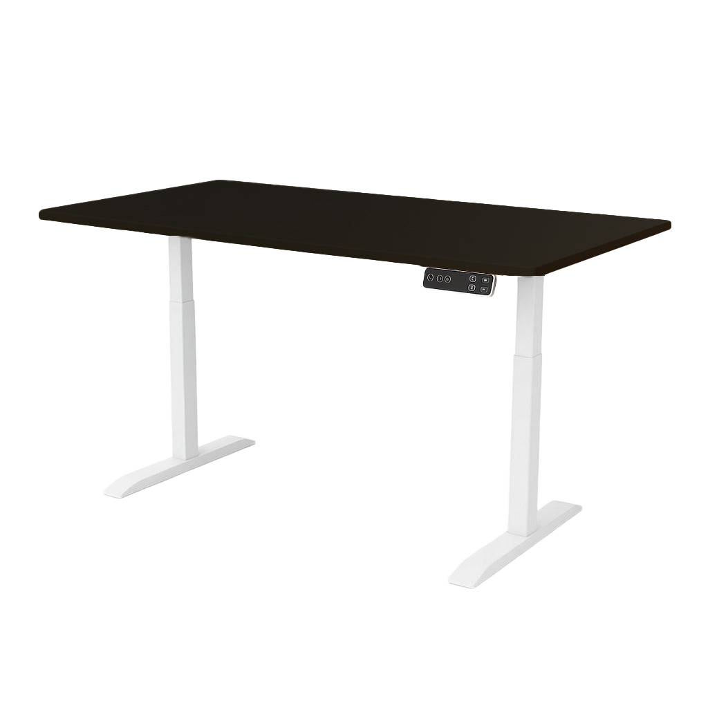 Flake Dual Motorized Desk