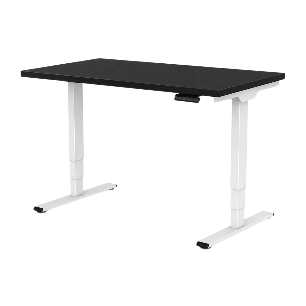 Flake Dual Motor Eco Desk